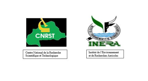 Titre : pluralité des représentations sociales des acteurs politiques et agropasteurs au Burkina Faso