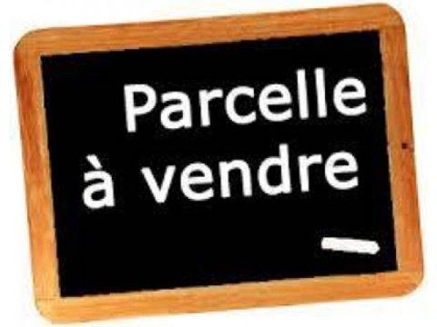PARCELLE EN VENTE A TENKODOGO